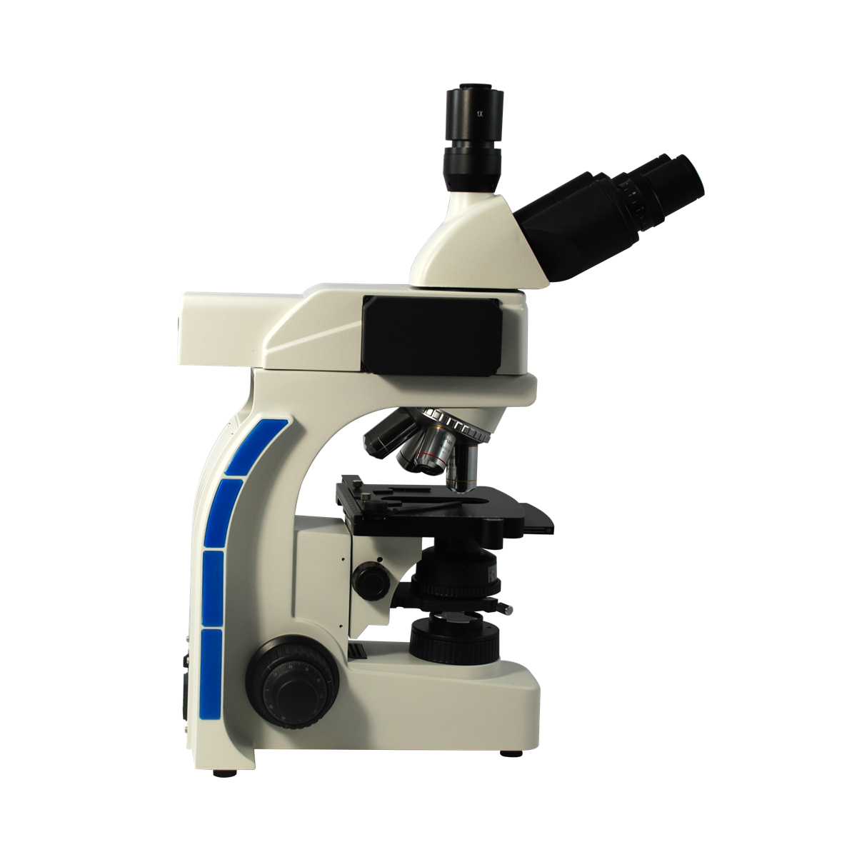 Fluorescence Microscope